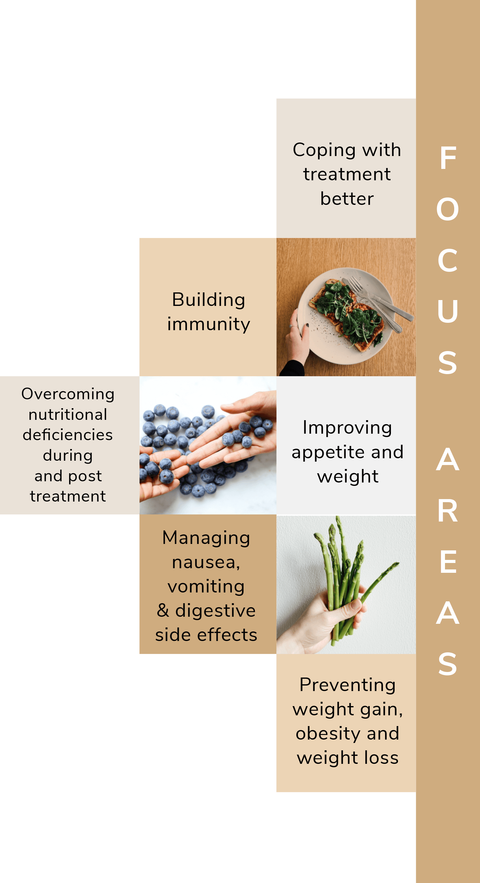 Pillars Of Integrative Cancer Therapy @ CARER – Nutrition, Customised Diet, Food