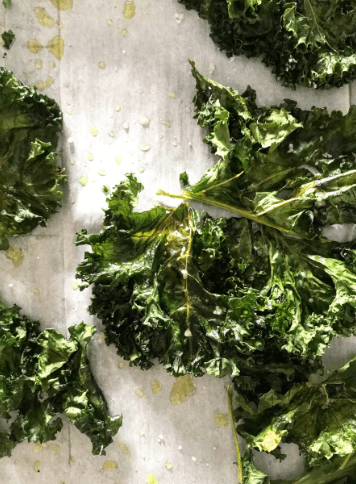 The importance of a healthy gut and immunity for cancer