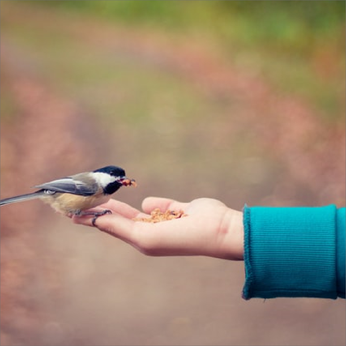 You want to give back to a cause, think again!