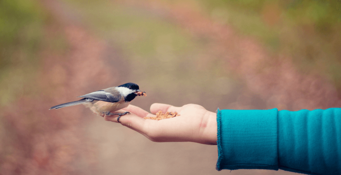 You want to give back to a cause, think again!